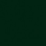 Esmalte sintético naval industrial proarapid brillante verde ingles ral 6009